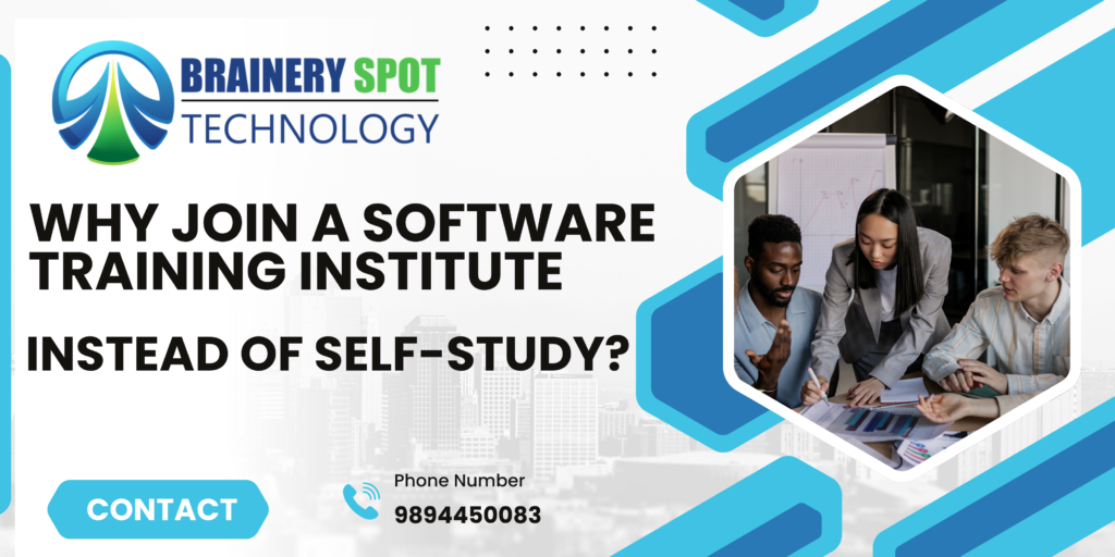 Software Training Institute